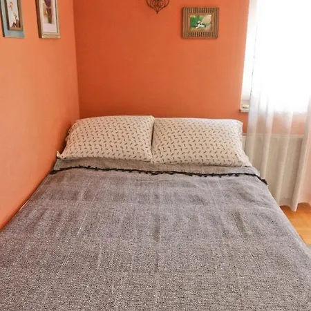 Saga * Novi Sad